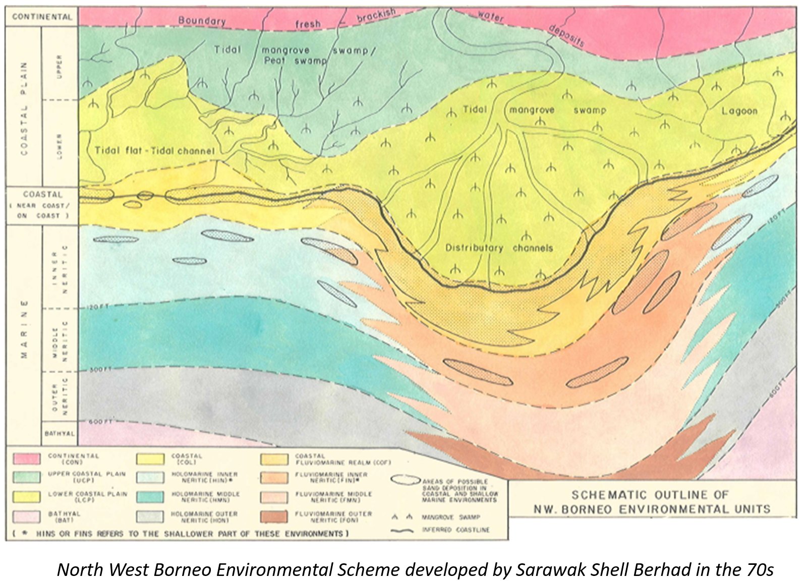 Schematic outline of N.W. Borneo environmental units